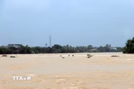 Mưa lớn sẽ làm lũ trên các sông tiếp tục lên và một số nơi vượt mốc lũ lịch sử. (Ảnh: Công Thử/TTXVN)