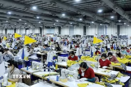 Dệt may là nhóm hàng có kim ngạch xuất khẩu lớn nhất của Việt Nam sang Nga. (Ảnh: Quốc Khánh/TTXVN)