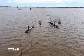 Du khách trải nghiệm mùa nước nổi trên cánh đồng ở Đồng Tháp. (Ảnh: Nhựt An/TTXVN)