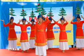 Múa truyền thống của đồng bào Chăm. (Ảnh: Nguyễn Thanh/TTXVN)