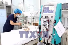 Cứu sống bé trai 15 tháng tuổi bị ong vò vẽ đốt nguy kịch