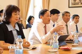 Chủ tịch tỉnh Gia Lai Phạm Anh Tuấn phát biểu trong cuộc làm việc với Đại sứ quán Việt Nam tại Berlin. (Ảnh: Thu Hằng/TTXVN)