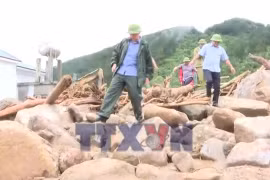 Xây dựng khu tái định cư khẩn cấp cho người dân vùng lũ Lai Châu