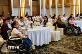Dự án đã giúp cho hàng trăm người khuyết tật ổn định cuộc sống. (Ảnh: Sỹ Thắng/TTXVN)