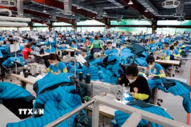 May hàng xuất khẩu sang thị trường Mỹ, EU tại Công ty may Maxport. (Ảnh: Trần Việt/TTXVN)