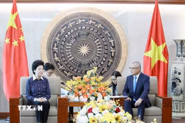 Phó Chủ tịch Chính hiệp toàn quốc Trung Quốc Hàm Huy trao đổi hợp tác toàn diện với Bí thư Tỉnh ủy Phú Thọ Phạm Đại Dương. (Ảnh: Tạ Toàn/TTXVN)