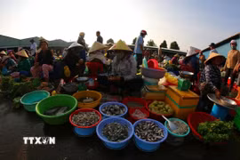 Rau vườn, trái cây là cây nhà, cá là bắt dưới mương lên còn tươi xanh. (Ảnh: Duy Khương/TTXVN)
