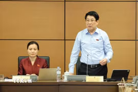 Chủ tịch nước Lương Cường phát biểu tại tổ. (Nguồn: TTXVN)