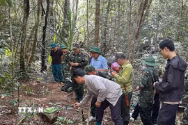 Lực lượng chức năng tìm thấy mộ liệt sỹ trên núi Chư Yang Sin. (Ảnh: TTXVN phát)