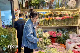 Các loại hoa nhập khẩu có giá ổn định. (Ảnh: Hương Giang/TTXVN)
