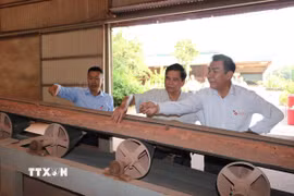 Anh hùng Lao động Nguyễn Quang Mâu (áo trắng ngoài cùng) đang giới thiệu dây chuyền nghiền khô siêu mịn với ông Đinh Quang Huy - nguyên chủ tịch Hội gốm xây dựng Việt Nam. (Ảnh: Diệu Thúy/TTXVN)