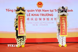 Màn biểu diễn Lân chào mừng tại Lễ khai trương. (Ảnh: Công Tuyên/TTXVN)