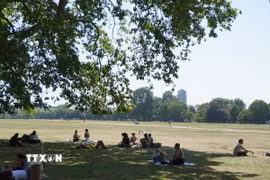 Người dân tránh nóng dưới bóng cây trong công viên ở London, Anh. (Ảnh: THX/TTXVN phát)