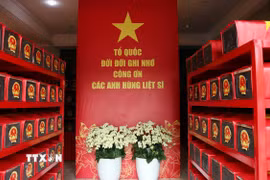 Sau 3 tháng triển khai, đã phát hiện, quy tập được 664 bộ hài cốt liệt sỹ tại công viên Lê Thị Riêng. (Ảnh: Xuân Khu/TTXVN)