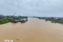 Mưa lớn khiến mực nước trên sông Thương, Bắc Ninh tăng cao. (Ảnh minh họa: Thanh Thương/TTXVN)