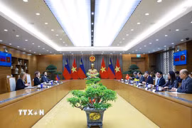 Thủ tướng Lê Minh Hưng hội đàm với Thủ tướng Công quốc Liechtenstein Brigitte Haas. (Ảnh: Dương Giang/TTXVN)