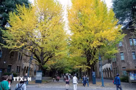 Đại học Tokyo. (Ảnh: Xuân Giao/TTXVN)