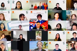 Họp trực tuyến ra mắt Mạng lưới Tri thức Việt Nam tại New Zealand (VietKnowledge NZ – VKNZ). (Nguồn: Vietnam+)