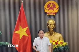 Phó Thủ tướng Lê Tiến Châu phát biểu tại cuộc họp. (Ảnh: Diệp Trương/TTXVN)