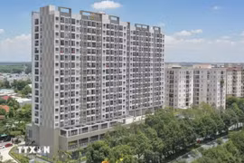 (Ảnh minh họa: Công Phong/TTXVN)