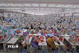Công ty SCAVI Huế (100% vốn đầu tư của Tập đoàn Financière B’Lao, Cộng hòa Pháp) chuyên sản xuất hàng may mặc quần áo nội y, thể thao, bảo hộ… tại Khu công nghiệp Phong Điền, Huế. (Ảnh: Trần Việt/TTXVN)