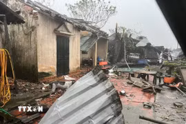 Bão số 10 kèm mưa lớn kéo dài đã khiến nhiều địa phương ở Thanh Hóa ngập sâu, sập nhà, cây cối gãy đổ, hàng chục thôn bản bị cô lập. (Nguồn: TTXVN phát)