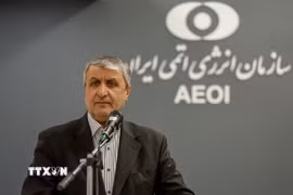 Người đứng đầu Tổ chức Năng lượng Nguyên tử Iran Mohammad Eslami. (Ảnh: IRNA/TTXVN)