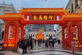 Đường phố Macau được trang hoàng lộng lẫy chào đón tết Bính Ngọ. (Ảnh: Mạc Luyện/TTXVN)