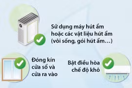 Bí quyết giữ nhà cửa khô ráo khi trời nồm ẩm
