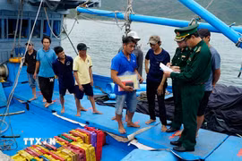 Bộ đội Biên phòng Gia Lai hướng dẫn ngư dân chấp hành các quy định khi khai thác trên biển. (Ảnh: Đình Quân/TTXVN)