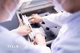 Sinh viên nghiên cứu quy trình sản xuất cơm ăn liền trong phòng thí nghiệm. (Ảnh: TTXVN phát)