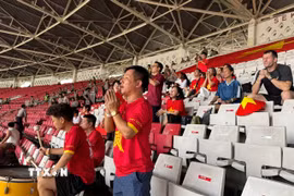 Các cổ động viên Việt Nam với số lượng khiêm tốn, vẫn cổ vũ nhiệt huyết cho đội tuyển. (Ảnh: Đỗ Quyên/TTXVN)