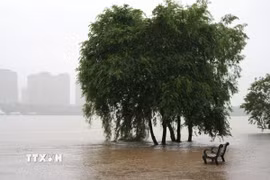 Mực nước sông dâng cao sau những trận mưa lớn tại tỉnh Liêu Ninh, Trung Quốc. (Ảnh: THX/TTXVN phát)