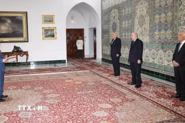 Đại sứ Vũ Duy Long trình Thư ủy nhiệm lên Tổng thống Algeria Abdelmadjid Tebboune. (Ảnh: TTXVN phát)