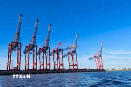 Cảng Hamburg, cảng lớn nhất của Đức. (Ảnh: TTXVN phát)
