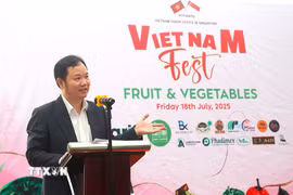 Ông Cao Xuân Thắng, Tham tán thương mại, Trưởng Cơ quan Thương vụ tại Singapore. (Ảnh: Tất Đạt/TTXVN)