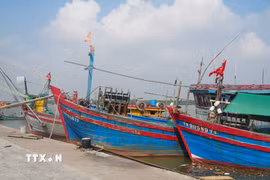 Một góc bến cá Lạch Trường (xã Hoằng Tiến, tỉnh Thanh Hóa). (Ảnh: Hoa Mai/TTXVN)