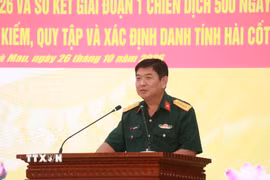 Đại tá Nguyễn Thúc Linh, Phó Chủ nhiệm Chính trị, Phó Trưởng ban Thường trực Ban Chỉ đạo 515 Quân khu 9, phát biểu chỉ đạo tại hội nghị. (Ảnh: Huỳnh Anh/TTXVN)