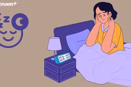 (Nguồn: Vietnam+)