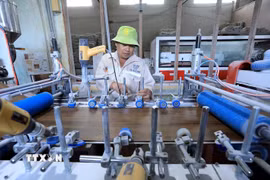 Ảnh minh họa. (Ảnh: Tuấn Anh/TTXVN)