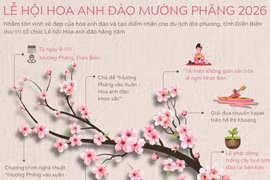 Lễ hội Hoa anh đào Mường Phăng 2026