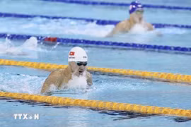 ASIAD 2026: Bơi Việt Nam và dấu mốc đáng nhớ ở nội dung tiếp sức