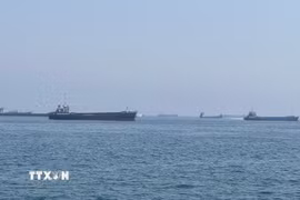 Tàu thuyền di chuyển qua eo biển Hormuz. (Ảnh: THX/TTXVN)