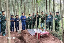 Ở khu vực rừng tràm ở bản Bãi Dinh, xã Dân Hóa, tỉnh Quảng Trị, từ ngày 1 đến ngày 8/10/2026 lực lượng tìm kiếm đã quy tập được 5 hài cốt liệt sỹ. (Ảnh: TTXVN phát)