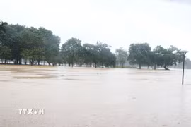 Mực nước trên sông Hương, thành phố Huế đang tăng dần khiến cồn Dã Viên bị ngập trở lại chiều qua, ngày 2/11. (Ảnh: Nguyên Lý/TTXVN)