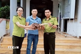Lực lượng chức năng tiếp nhận động vật hoang dã do người dân giao nộp. (Ảnh: TTXVN phát)