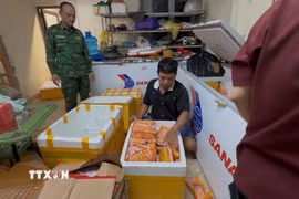 Lực lượng Bộ đội Biên phòng khám xét kho chứa hàng. (Ảnh: TTXVN phát)