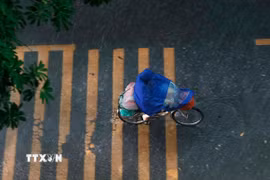 (Ảnh minh họa: Minh Quyết/TTXVN)