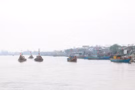 (Ảnh minh họa: Xuân Tiến/TTXVN)