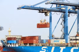 Các cảng tại Thành phố Hồ Chí Minh luôn tấp nập các tàu làm hàng. (Ảnh: Tiến Lực/TTXVN)